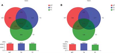 Safety evaluation of FAD2 RNAi transgenic Brassica napus L. based on microbial diversity and metabonomic analysis